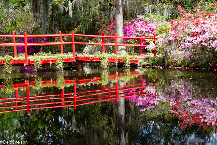 Magnolia Gardens Charleston South Carolina Red Bridge