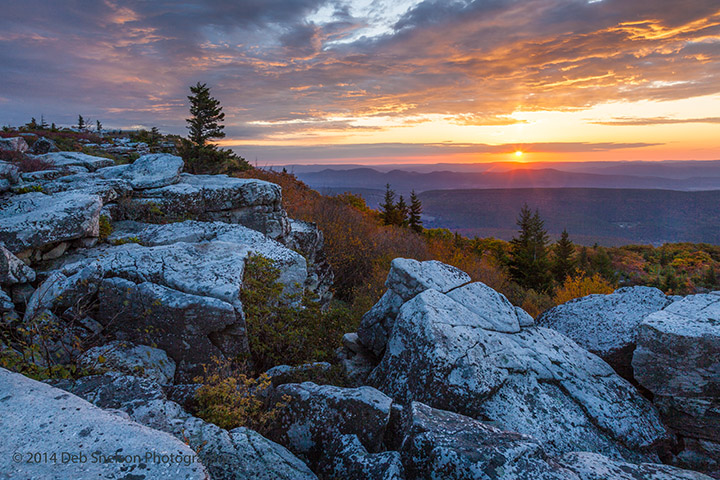 West Virginia - Sunrise at Bear Rocks Preserve in Dolly 